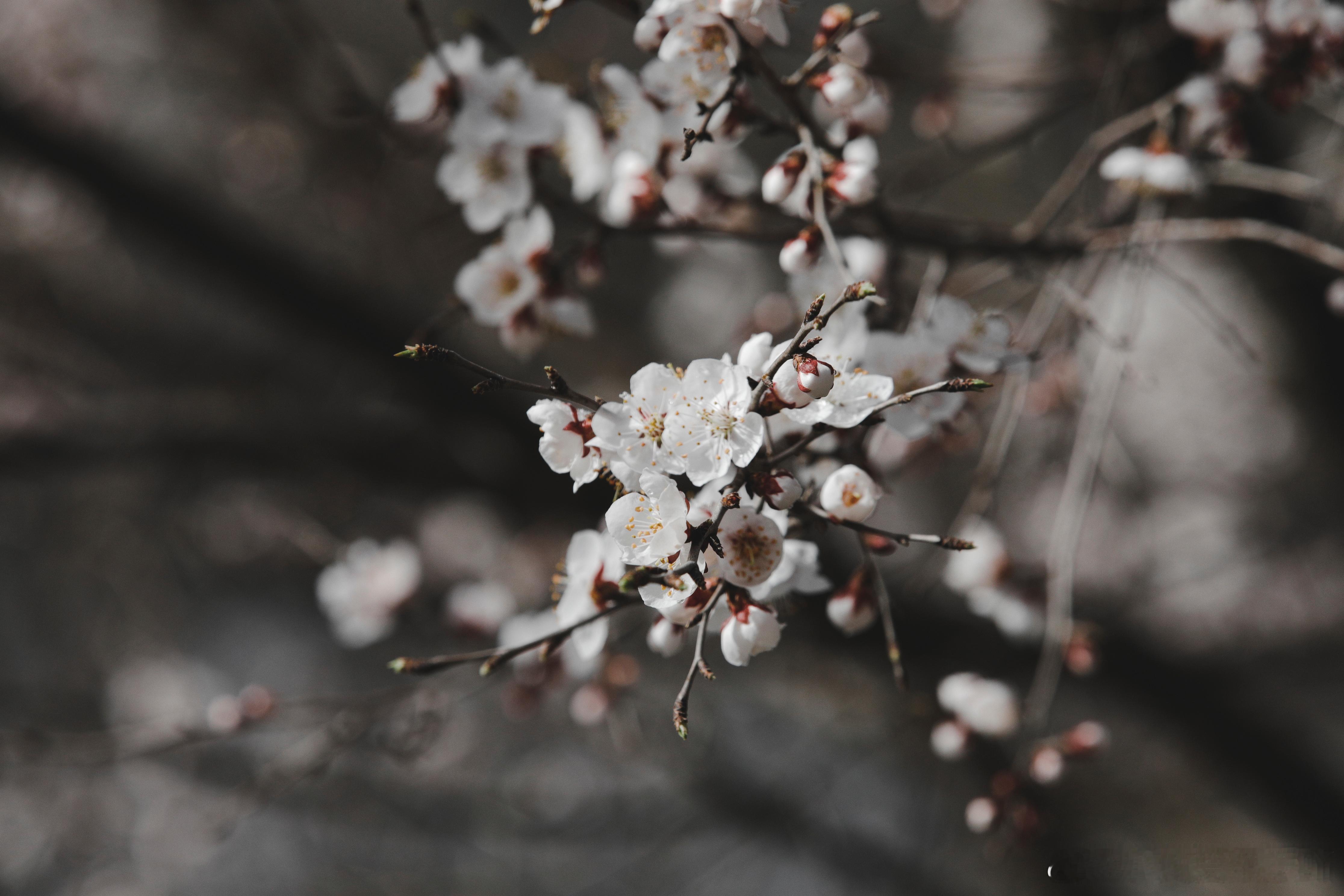 铁刹山核心地标打卡必不可少，庄严肃穆的黑妈妈殿人气常年居高不下，文化底蕴深厚，是