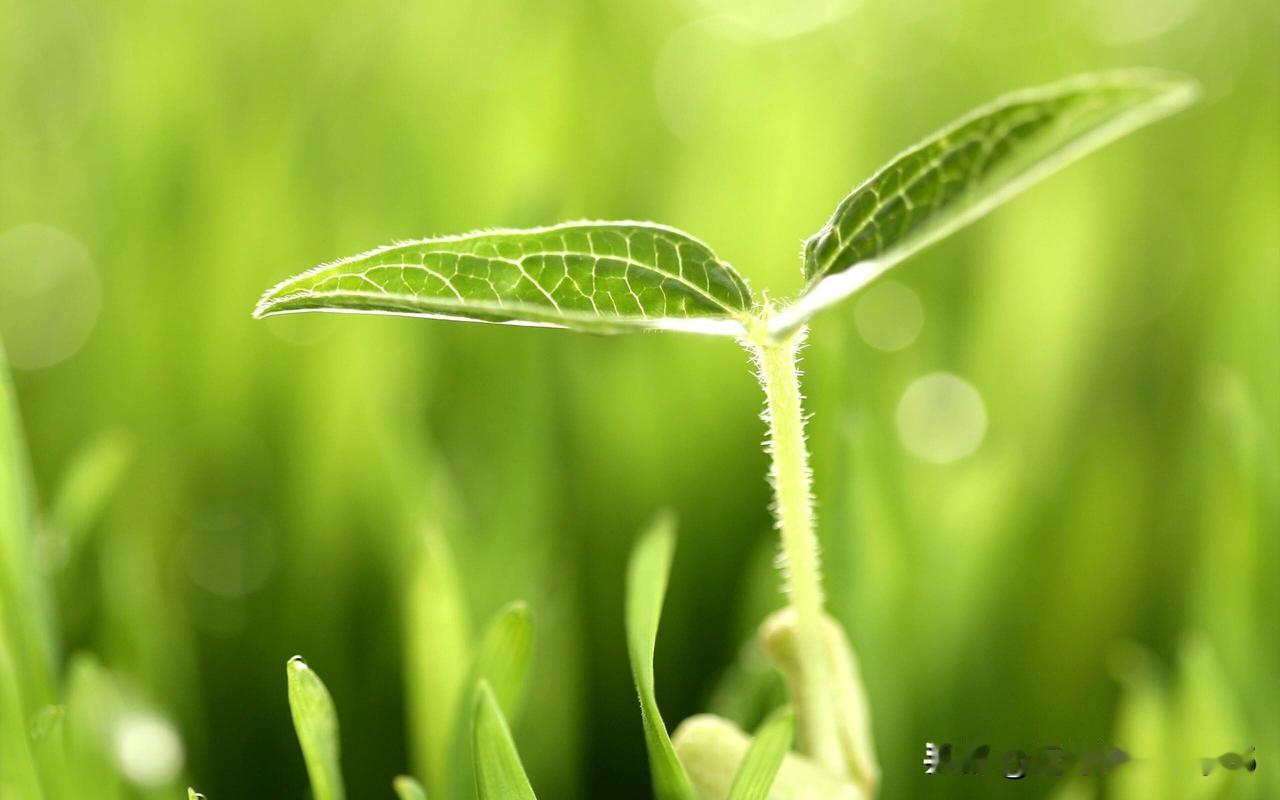 12月7日这个周日过得太心碎……

   昨晚在老妈家住了一晚上，这是老妈老爹每