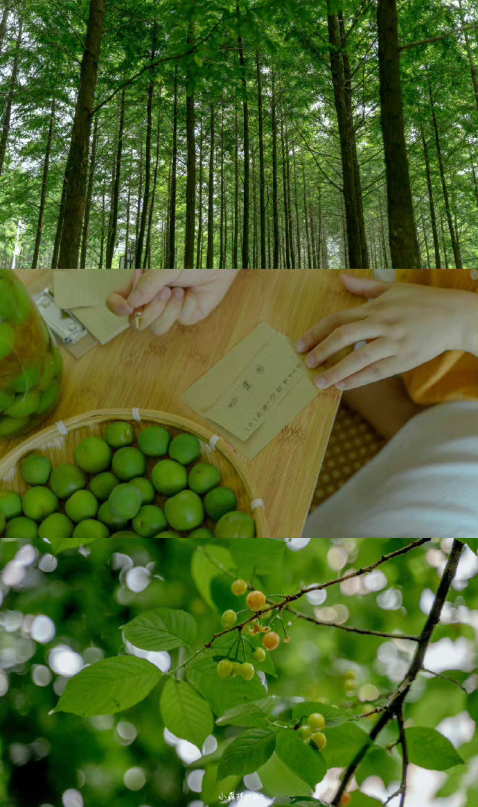 高质量的生活从自律做起生活1.养成早睡早起的习惯，23：00~6：00，不为任何