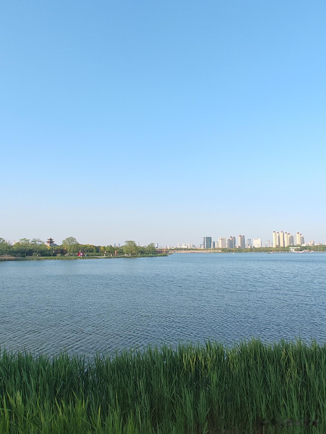 今年春天最想实现的心愿 今年春天，我最想实现的心愿就是去看大海。大海真的是太伟大