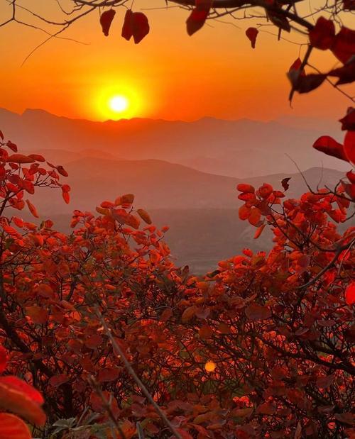 友的上联：月落一江水
我对下联：日升万山红