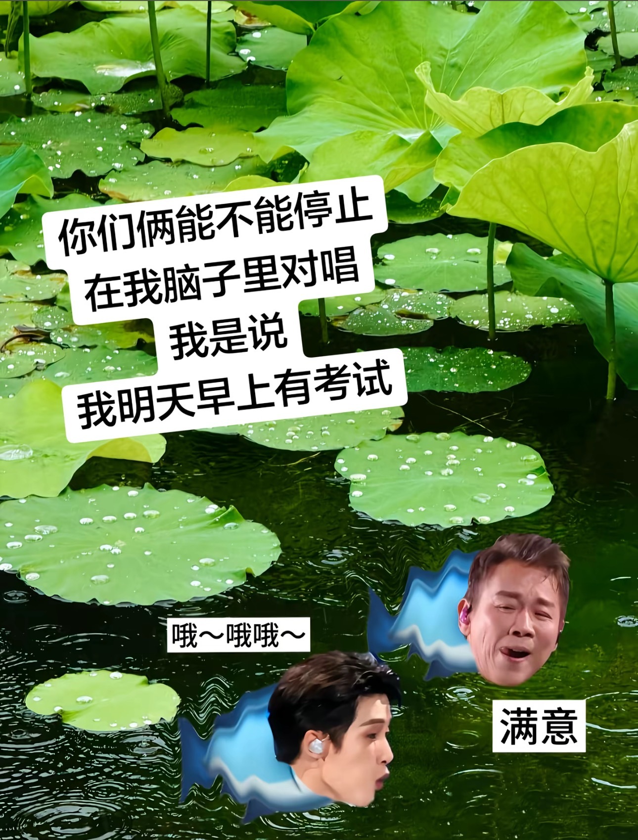 谁懂，我今天在办公室哼了一天的“月光~月光啊~” 