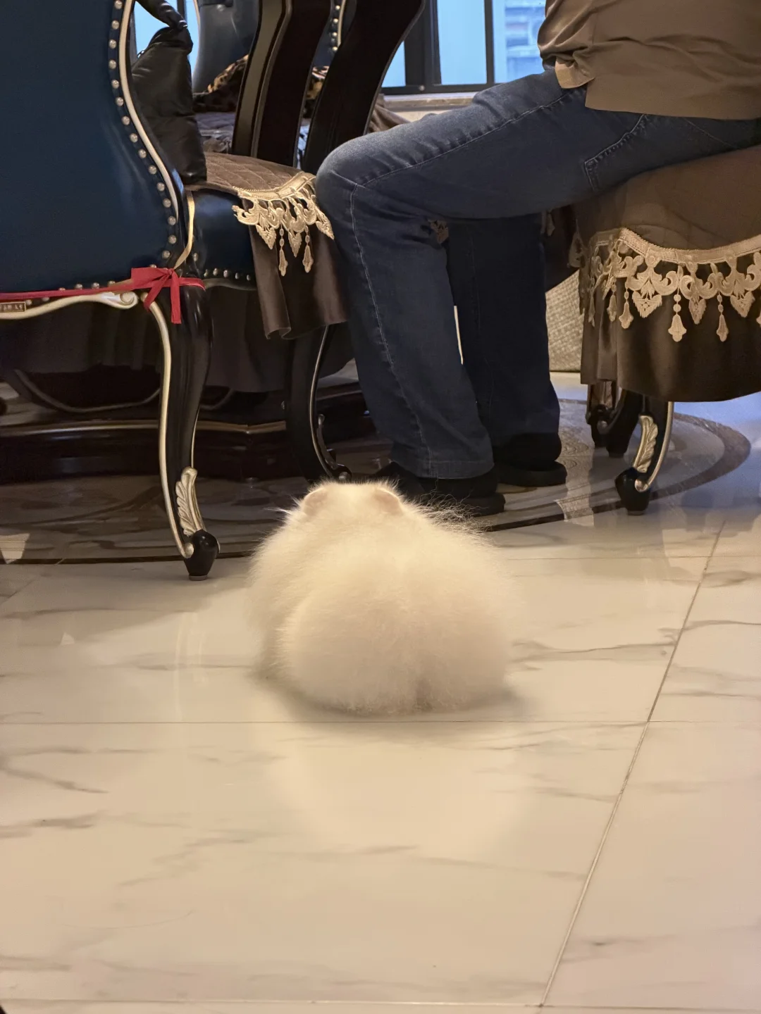 这个屁股有点肥美了