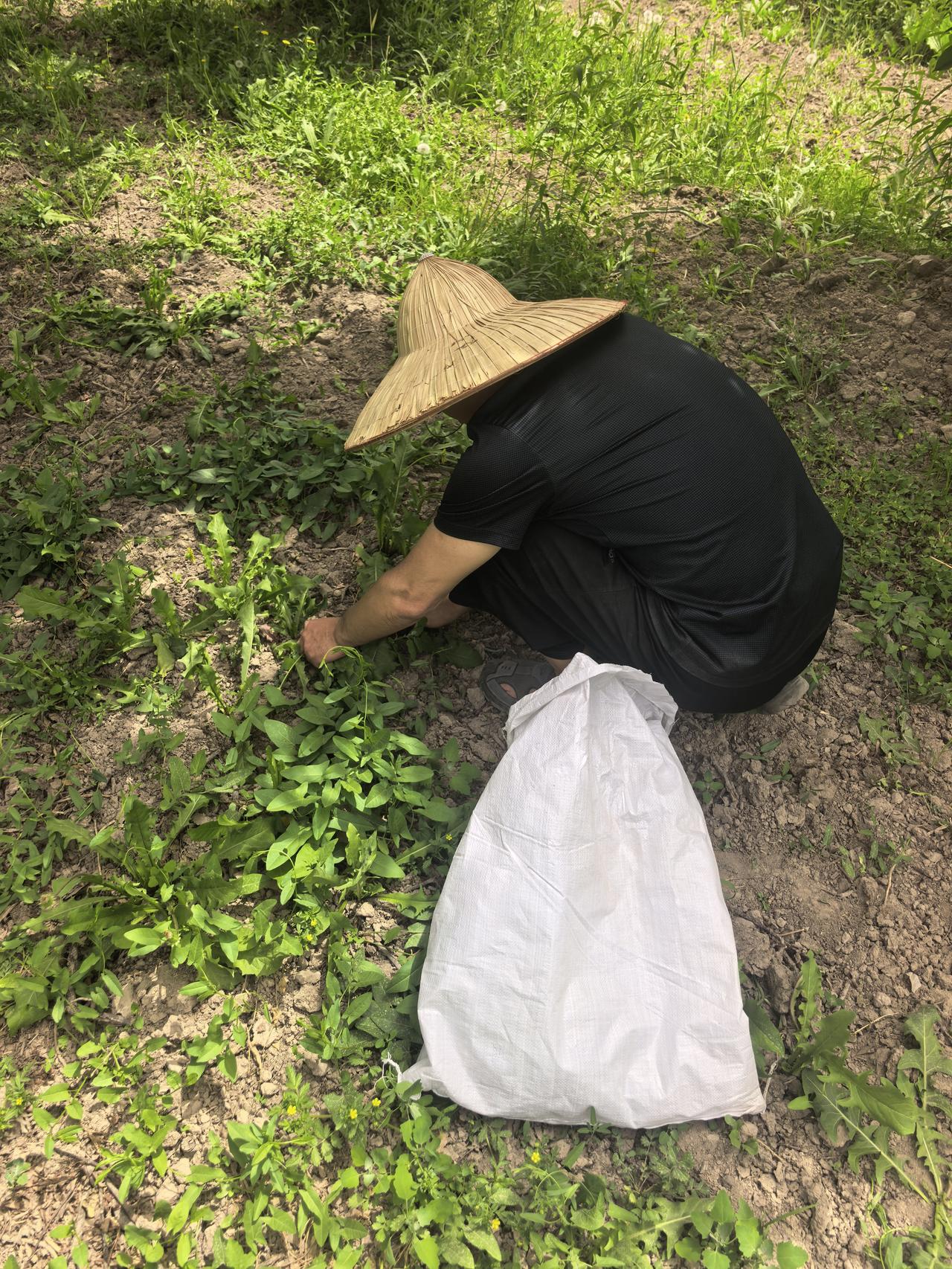 12秒坏情绪消失术，简单好用，快速平复心情
 
负面情绪上头往往就在一瞬间，生气