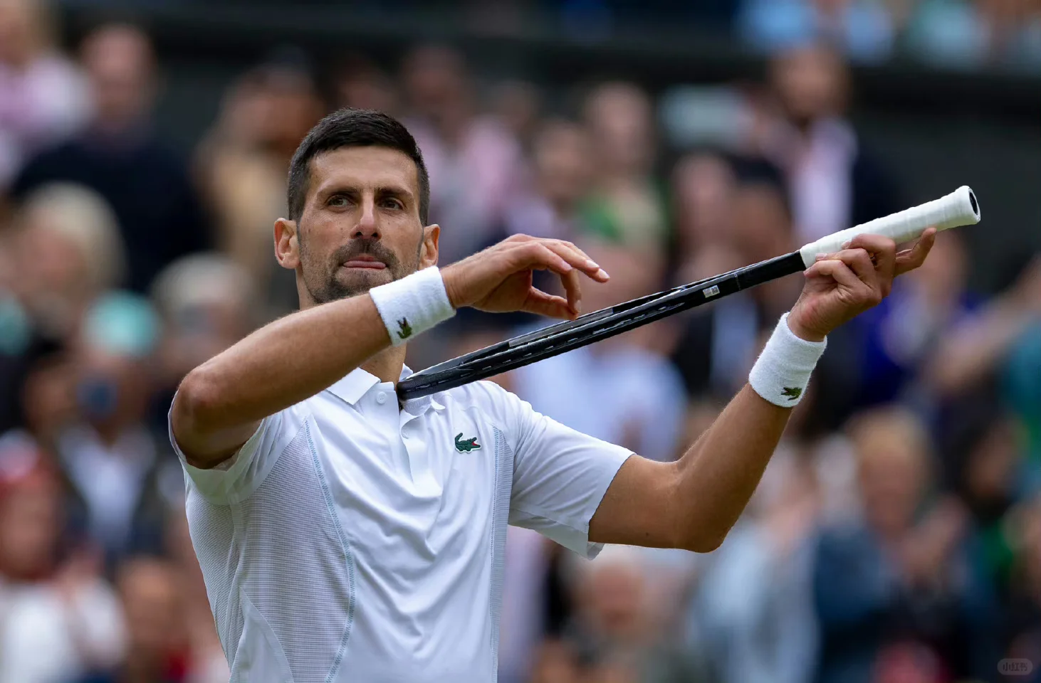 【温网速递】德约科维奇打进温网决赛！