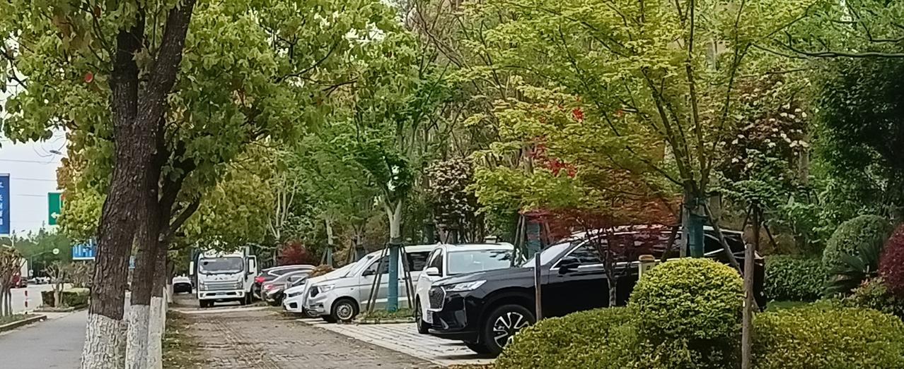 还是没车好，不用愁怎么停车，不用花停车费，保养车和折旧费足够你坐出租车的了，还不