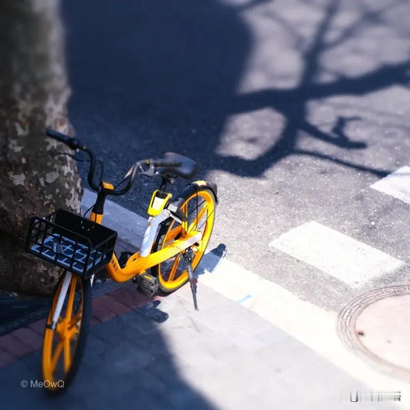 又是一个周一
又是新的一天
就这样轻轻到来
出发…
每一个转弯都是选择
每一次迈