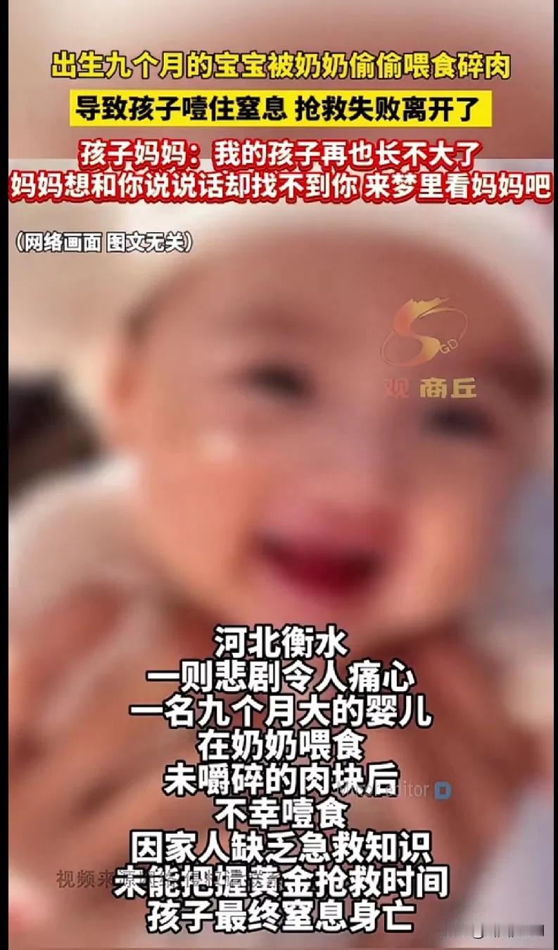 河北衡水发生一起悲剧，九个月大的宝宝因奶奶喂了没嚼碎的肉噎住窒息，抢救无效去世。