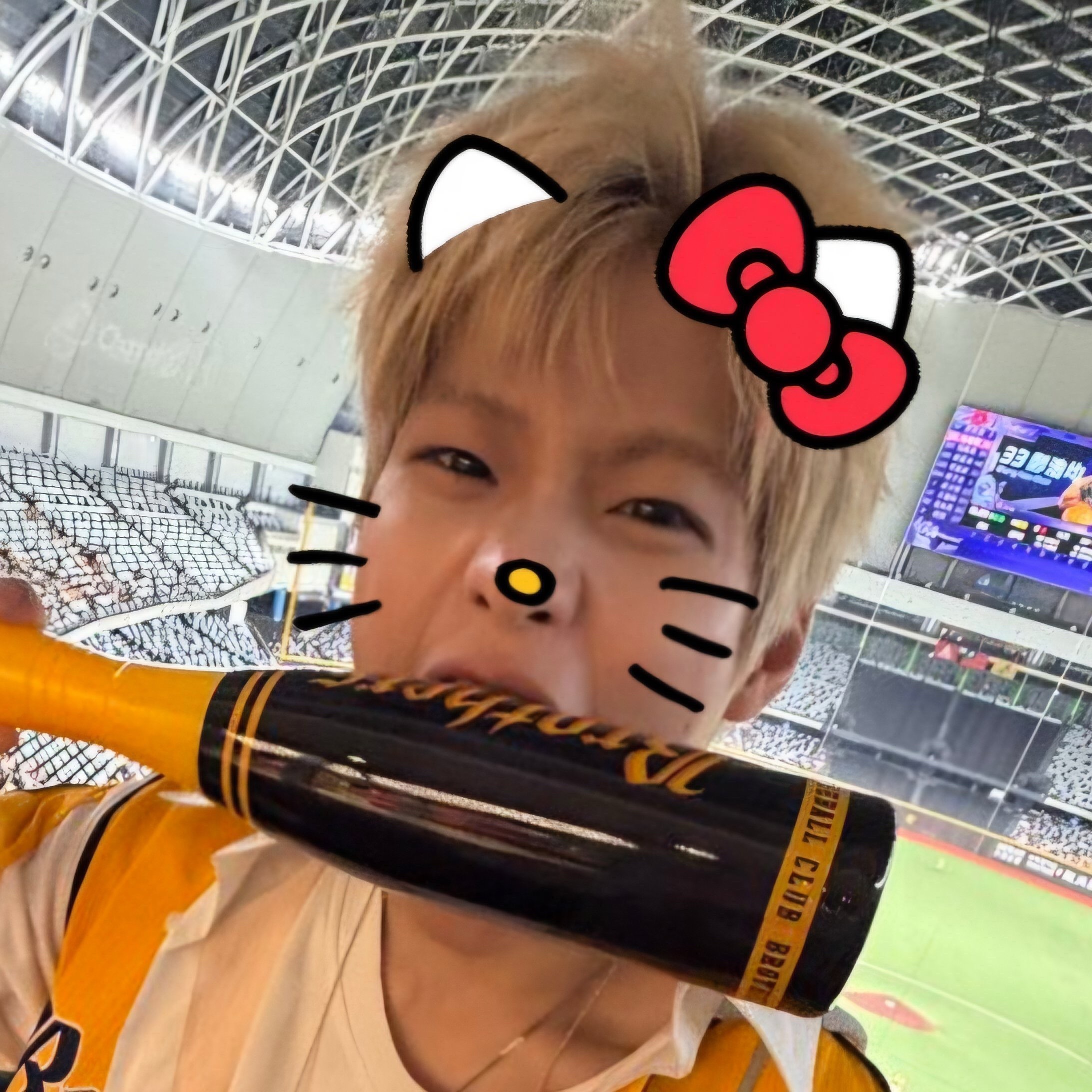 这两天的kitty主题贴纸也怪萌的🎀 