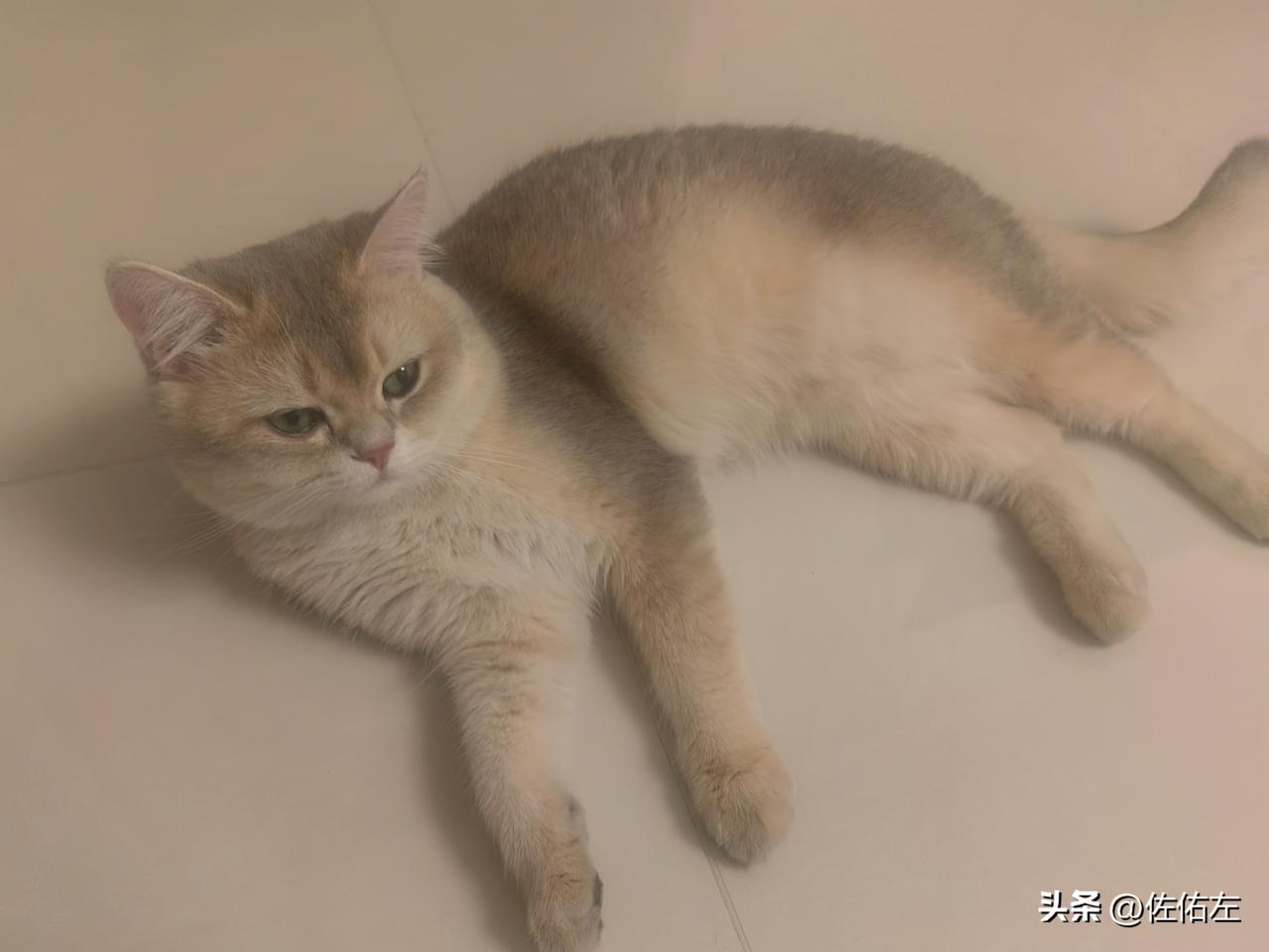 我60多岁的小姨年前竟然因为宅基地的事被带进了派出所，让人担心的同时也非常惊讶。