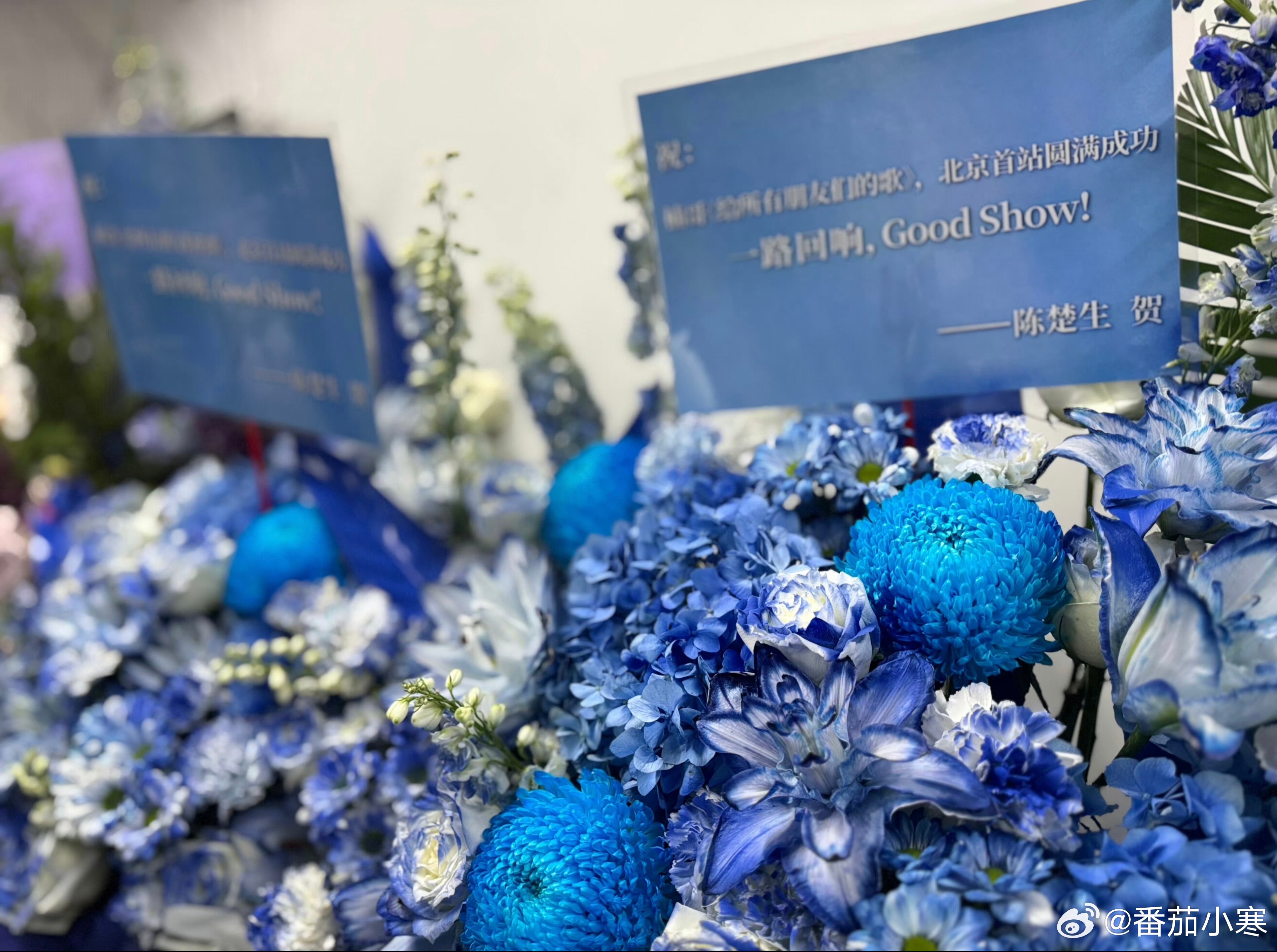 陈楚生为孙楠北京演唱会送上花篮Good Show宣传大使