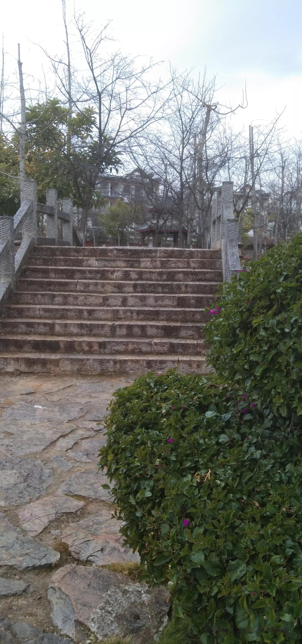 昨天天阴又下起小雨，因为冷，所以光走走看看就占了大半天时间。