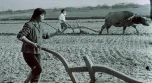 1977年，32岁女知青刘琦返城无望，嫁给一位农民。新婚之夜，她对丈夫说：“你对