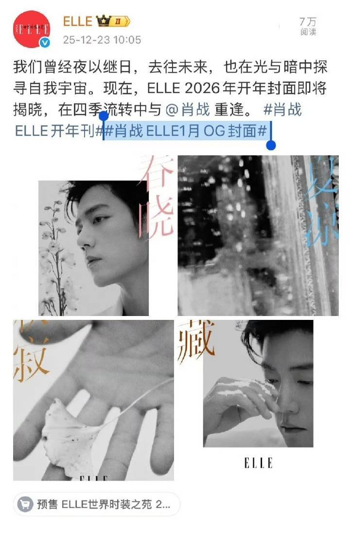 肖战elle开年预告大片，巨星待遇 