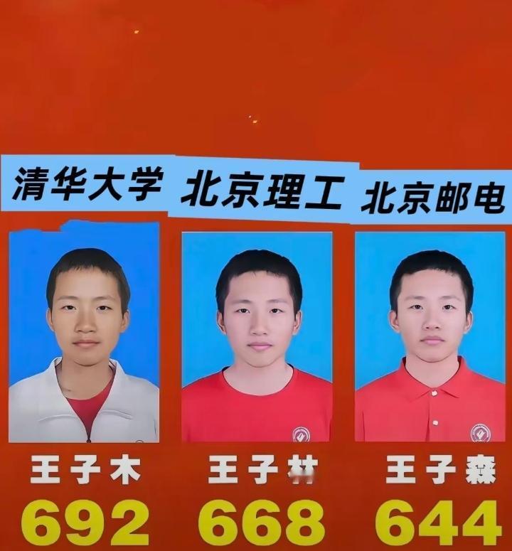 爸爸失业妈妈摆摊，贵州三胞胎三兄弟全考上北京顶尖名校
 
仨兄弟名字木、林、森，