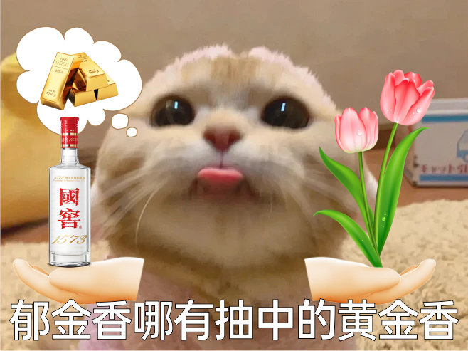 生活不能没有表情包。朋友，来斗图吗？快来参加#打开攒金新思路#讨论，交出你创作的