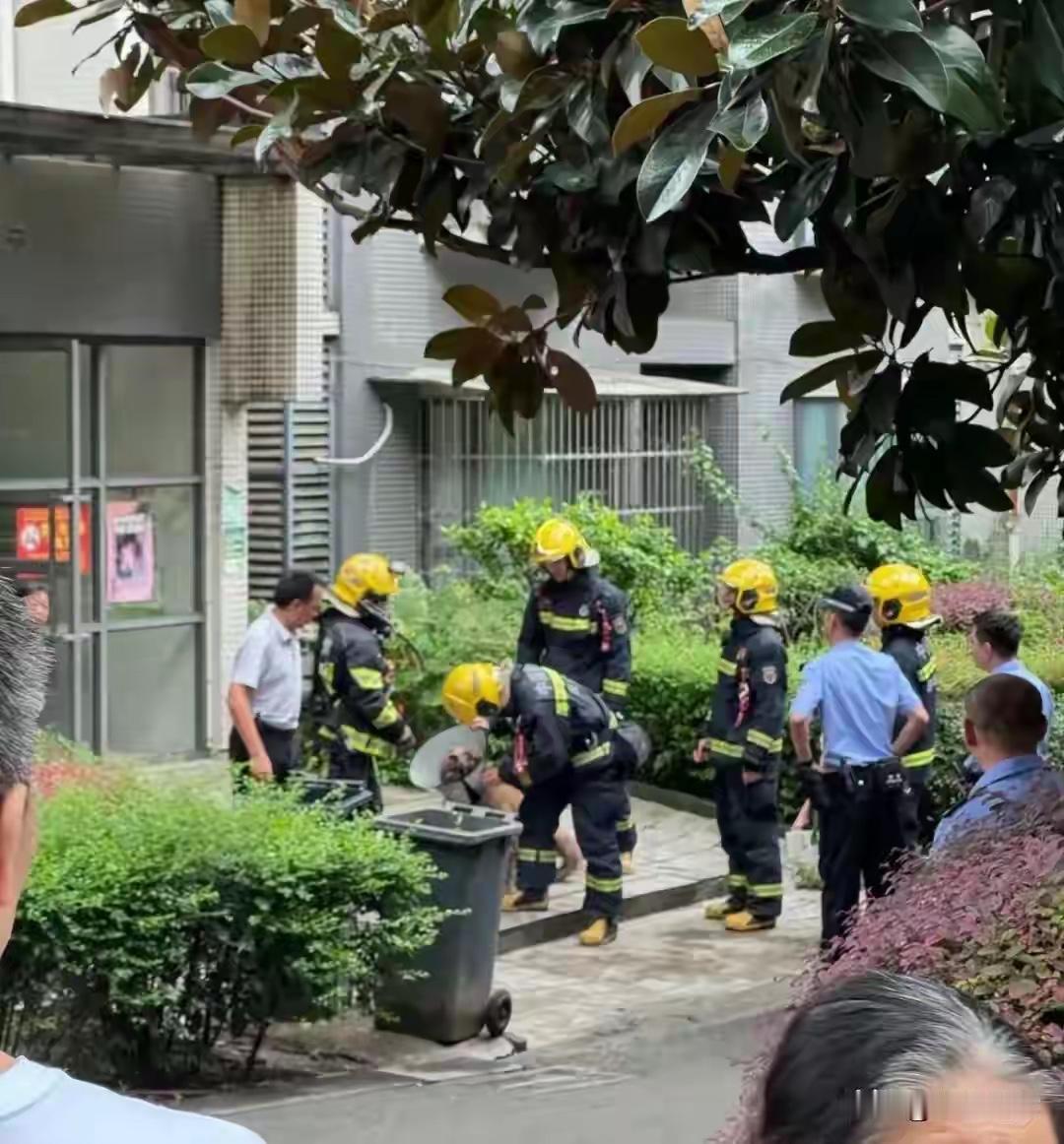 8月2日早上8点半左右，成都一处居民小区，一户三楼住户家中突发火灾，主人外出不在