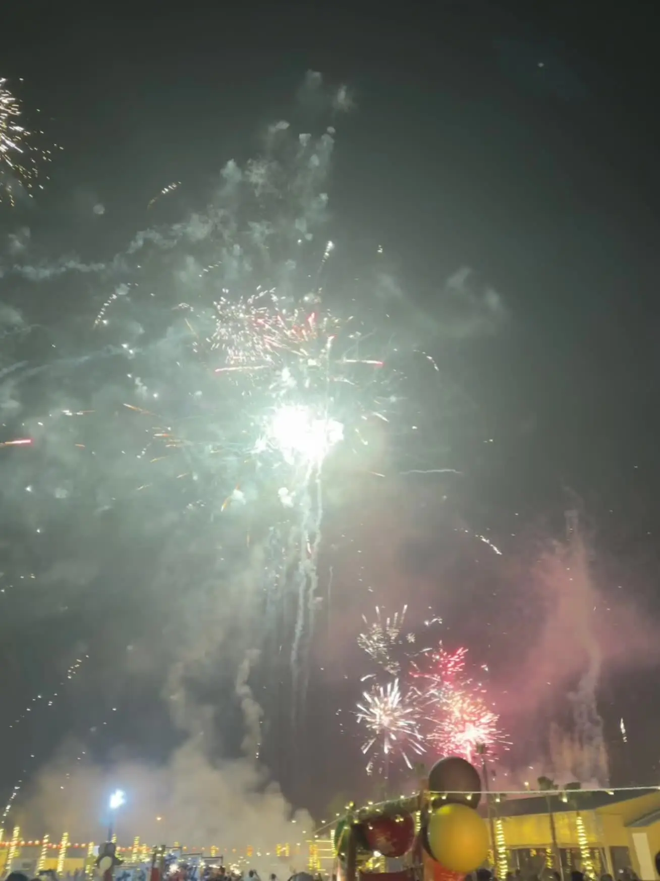 新年快乐🎉🎉🎉🎉🎉🎉  又开始期待跨年烟火