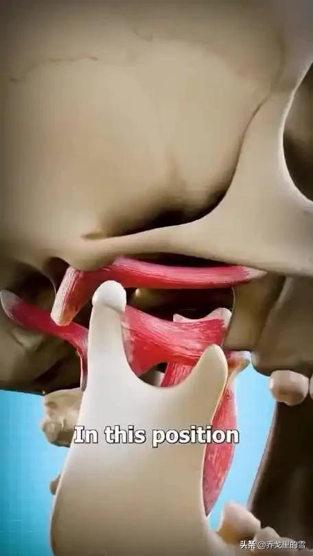 求助：下颚脱臼

中国的大上海有没有好的医院可以治疗？同时求助，推荐好的医生！