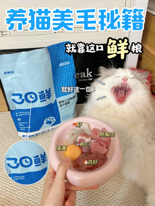 被朋友追着问的养猫美毛秘籍：就靠这口鲜粮！