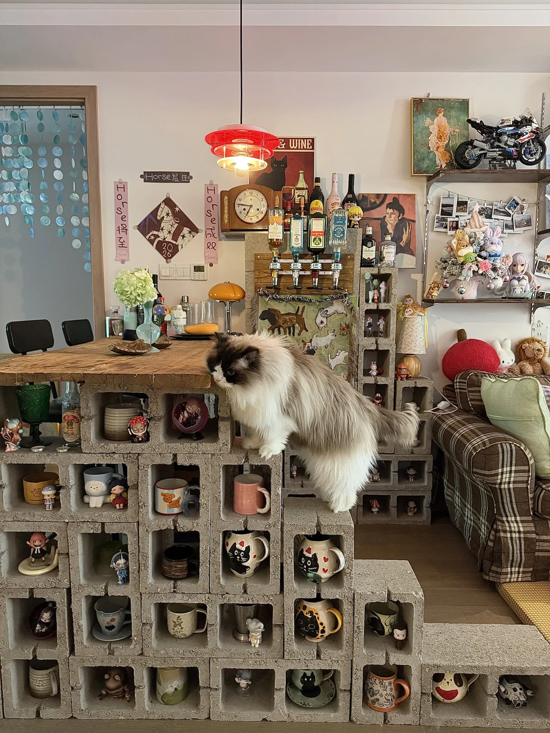 这是猫爬架吧台～