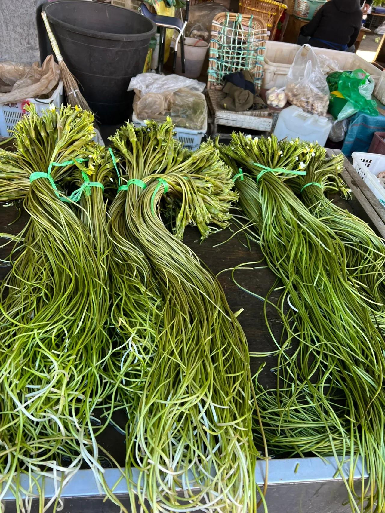 云南特色菜，海菜花，也叫作水性杨花！终于在我们这边见到了！

之前去云南旅游的时