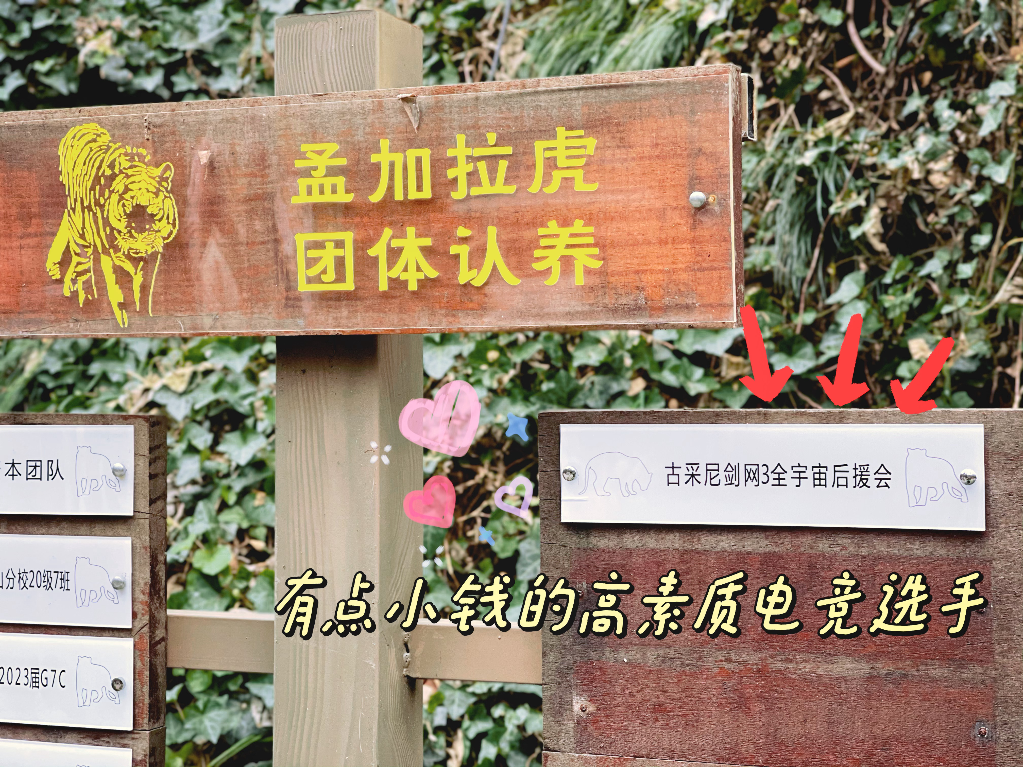 #剑网3##剑网3有爱玩家# 不知不觉和大家的第四年。很多人也许因为各种原因虽然