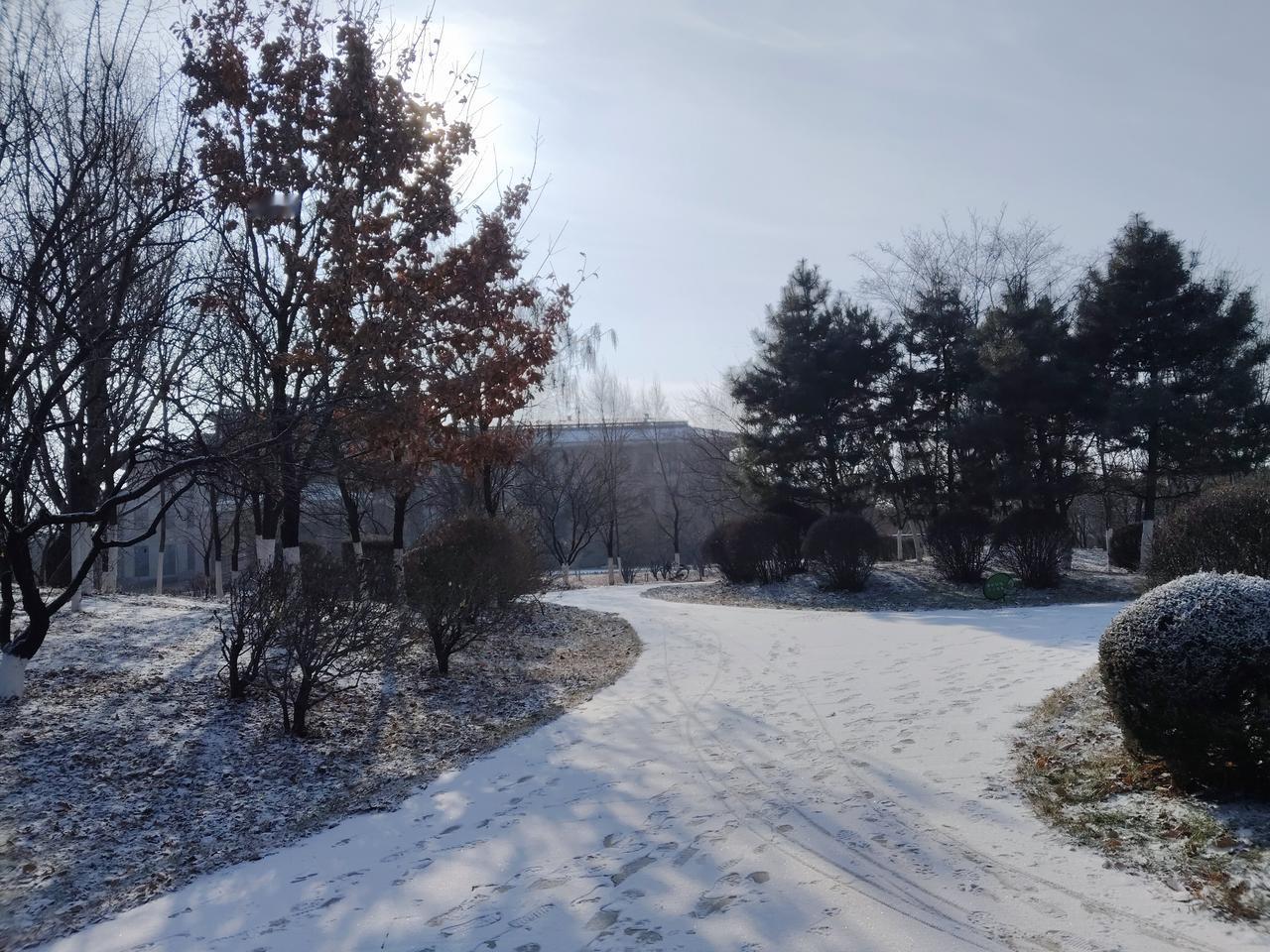 威海一学校14岁男生岳同学参加体测晕倒再也没起来！

真是太痛心了，14岁岳同学