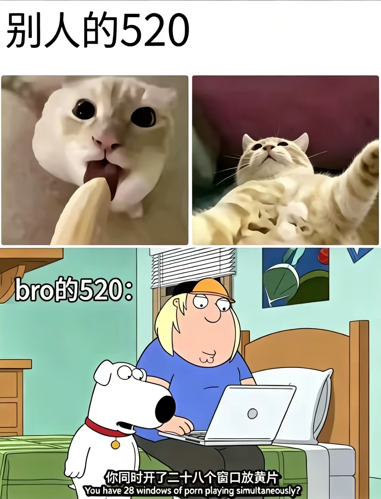 我就是那个bro 