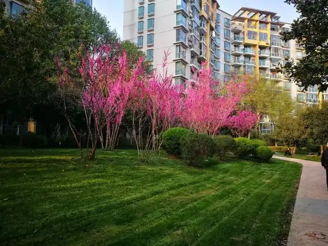 晒出你的本地生活