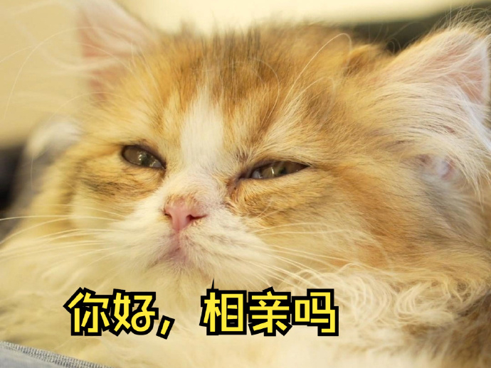 【约会时的心动是真的心动，还是对方设计好的“吊桥效应”？】吊桥效应这个词来源于一