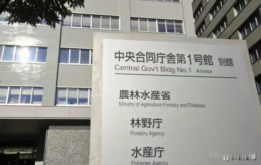 4艘执法船围堵！日本抓了中国船长，24小时就放人，玩的什么把戏？

刚看到消息，