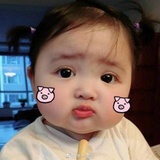 小虹虹爱说历史