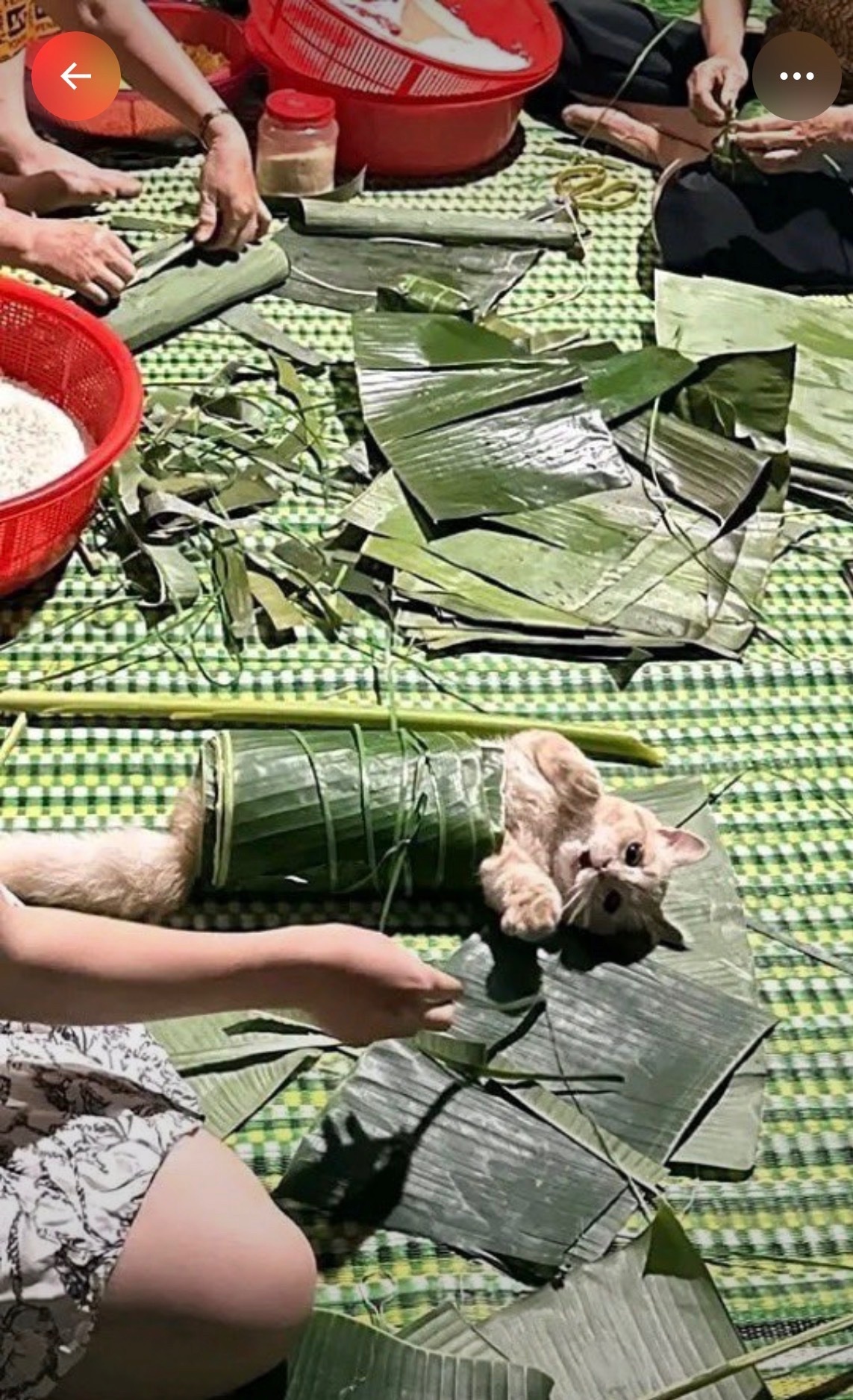 不听话就裹住 