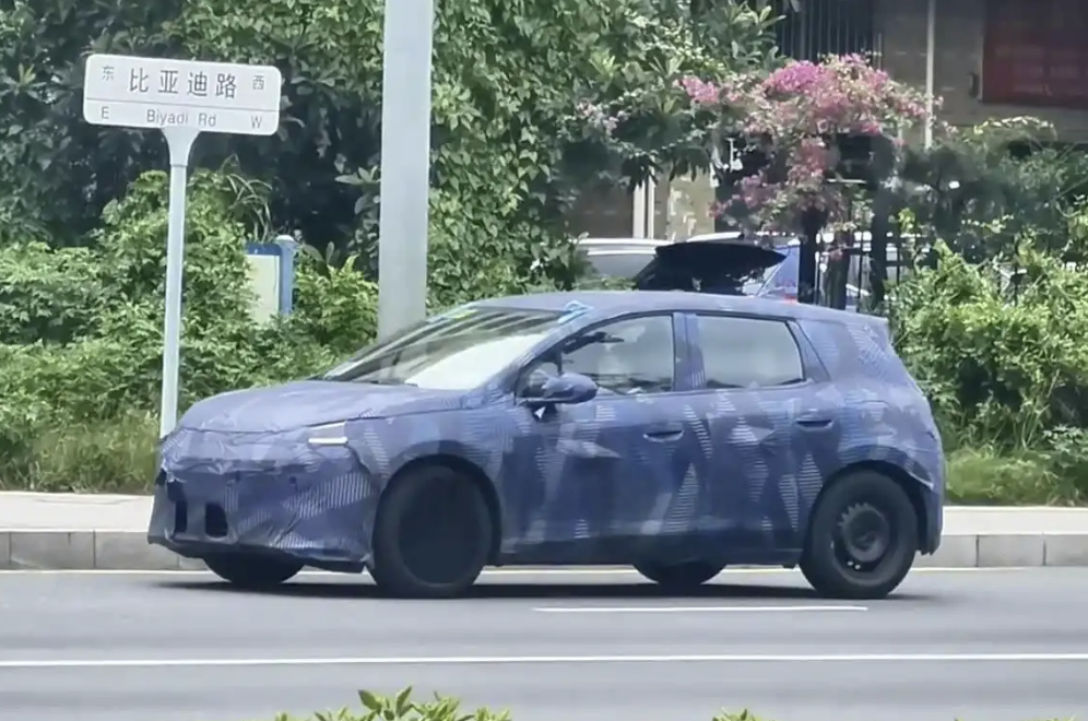 比亚迪海豚也要有插混版了，全新外观，欧洲市场首发大v聊车