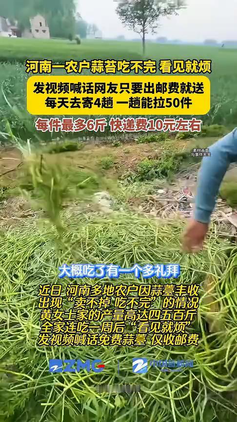 河南一农户蒜苔吃不完看见就烦，发视频喊话网友只要出邮费就送，每天去寄4趟，一趟能