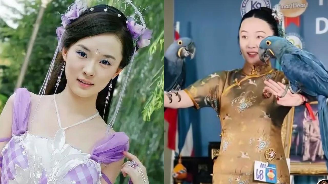 很难想象，霍思燕淡出演艺圈，养宠成新赛道

近期，霍思燕的爱鸟鹦鹉斩获大奖再次上
