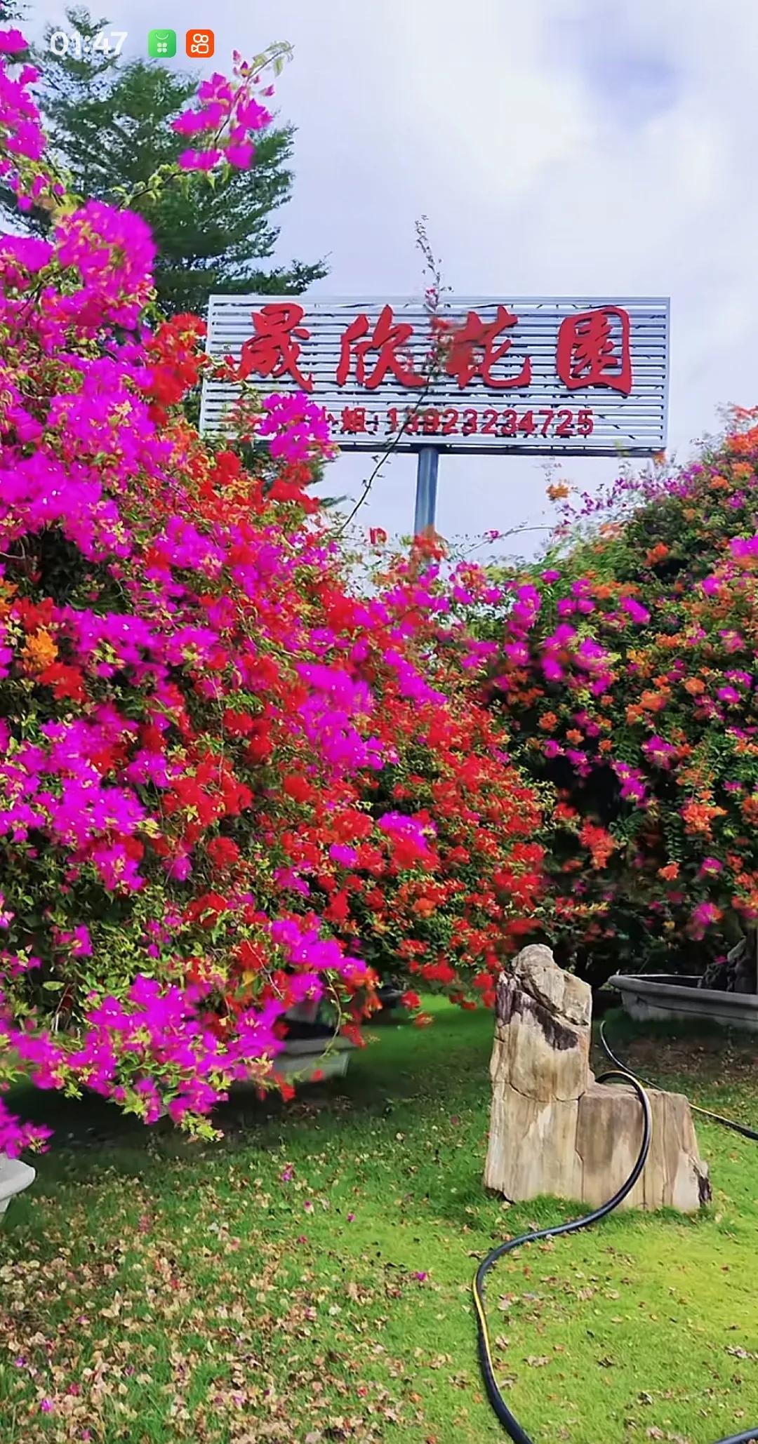 在两性身体互享的情况下，为什么总是说女性是付出的一方呢？
而且在女性稍有不愿意配