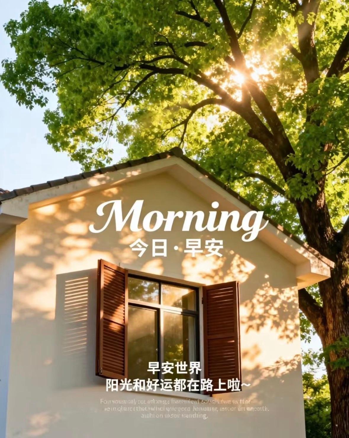 早安🌿周五！每一个清晨，都是我们全新的开场。别让昨天的烦恼，透支今天的快乐。迎