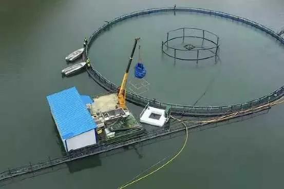 海鲜，不再是海边的特产。没想到，距海最远的新疆都能养殖海鲜了。事实上，新疆自古就