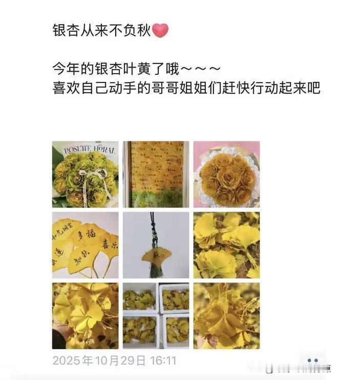 万物皆可卖咸鱼的含金量还在上升
一起来卖银杏叶吧
（银）因为有你三生有幸（杏）