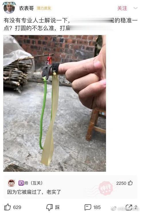 一组网友神回复，如果你是张无忌，你会选择她们谁？ ​​​