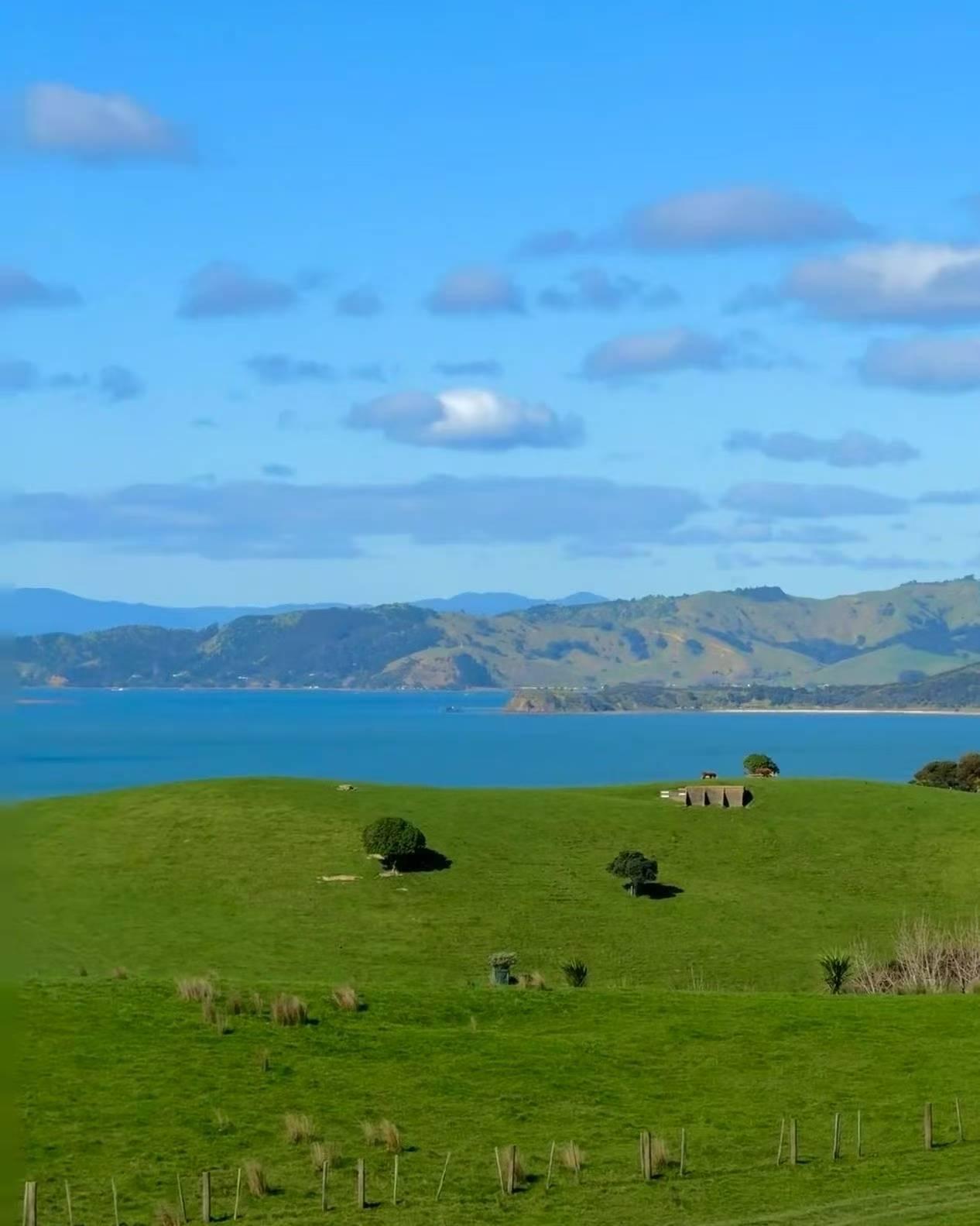 分享手机里的最美的随手拍