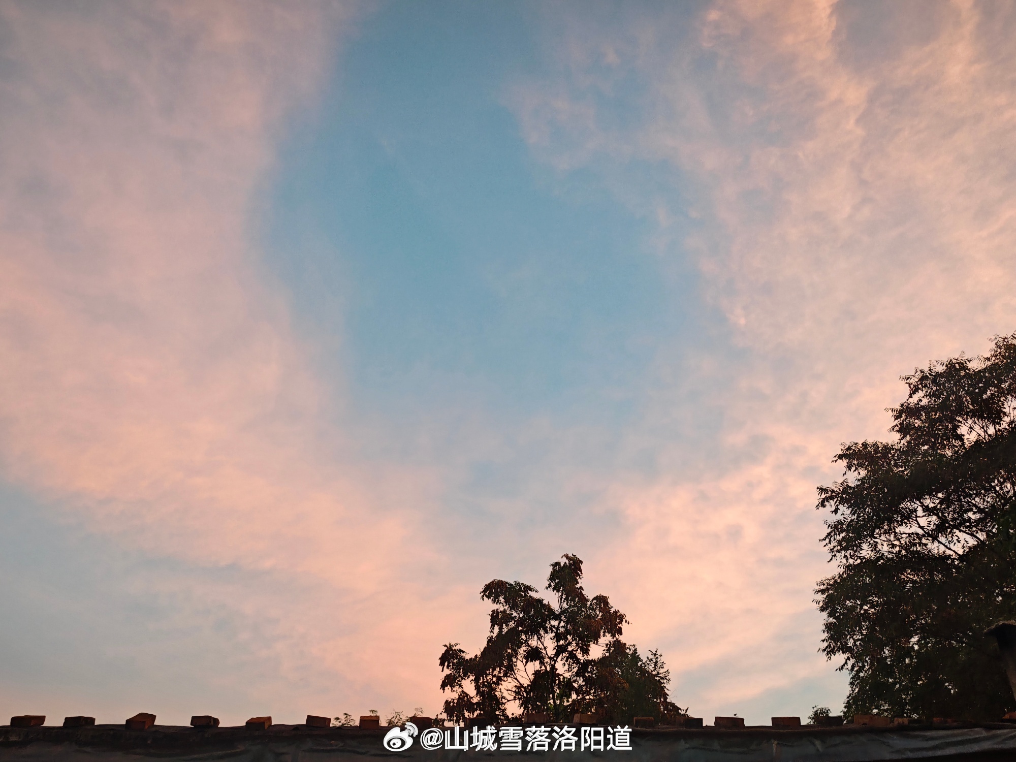 很漂亮的一片云，都是粉色的（不知道为什么手机拍不出来原本的颜色，但真的特别漂亮）