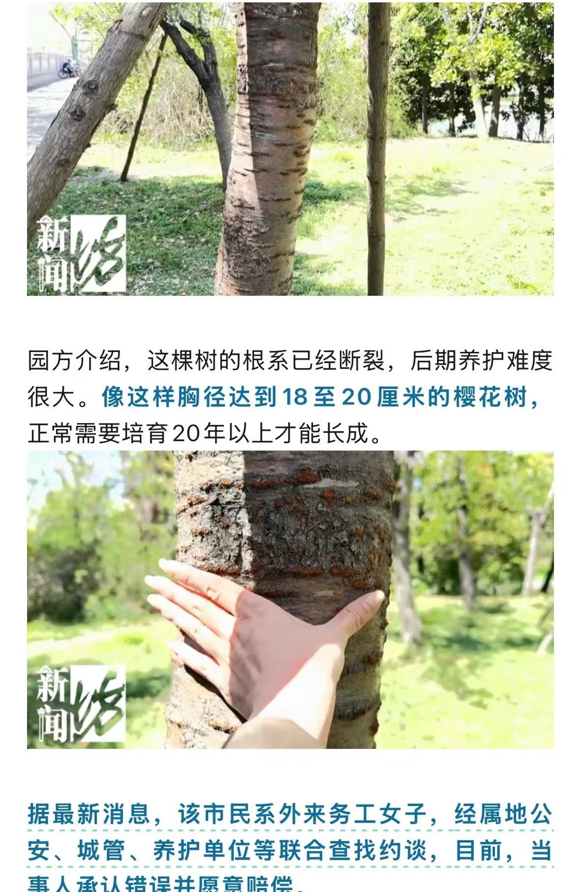 据最新消息，当事人承认错误并愿意赔偿