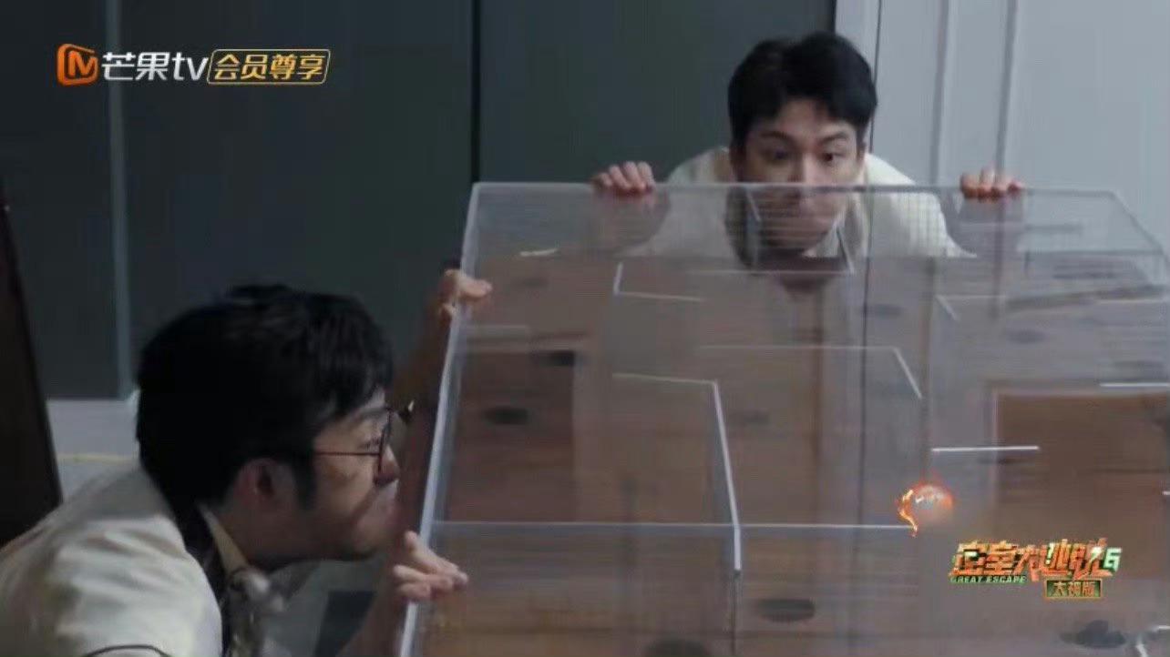 #火树球都觉得你故意的##密室大逃脱大神版#哈哈哈哈火树属实有点惨，火树球：你故