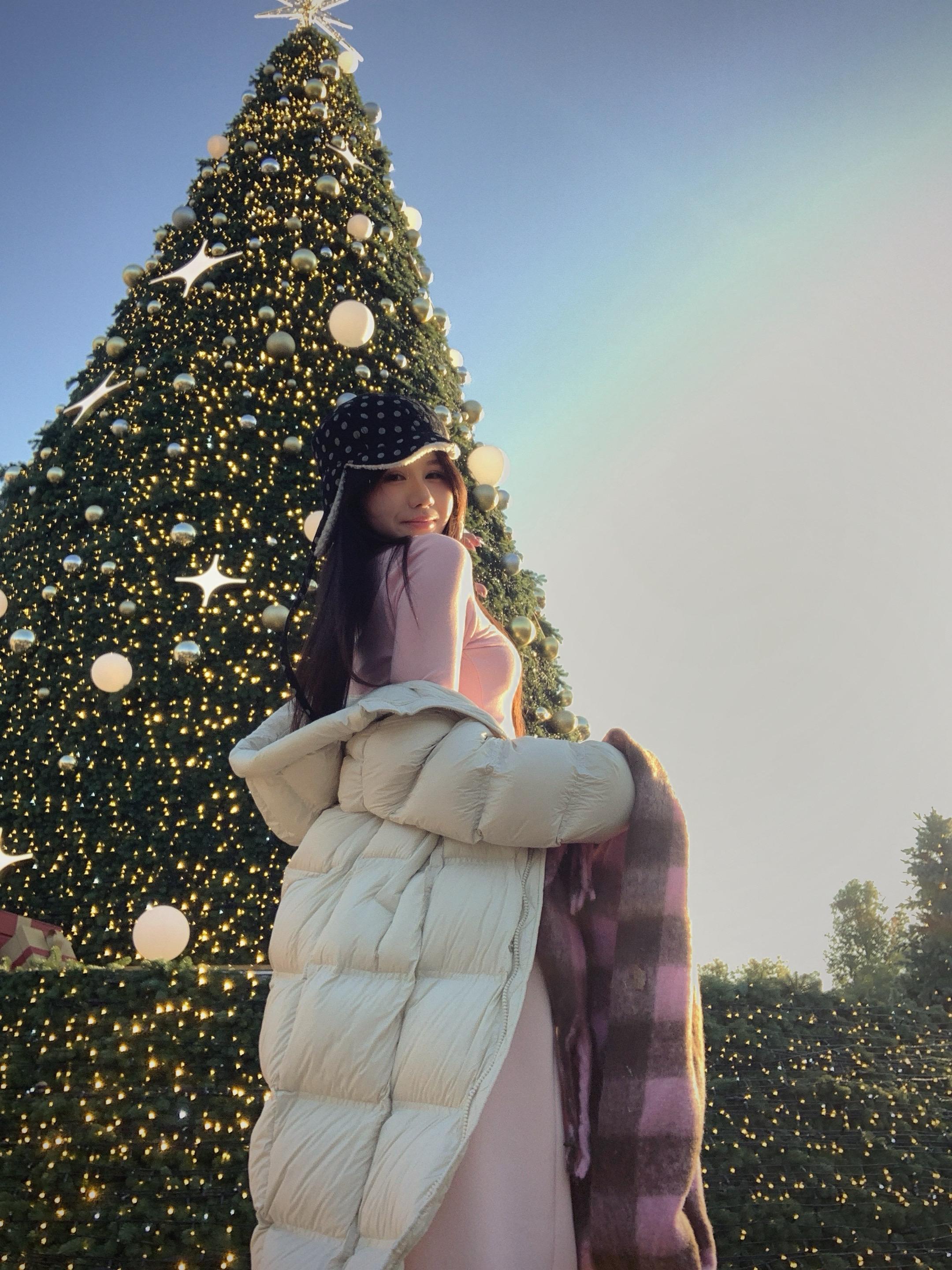 十二月祝我们有拥挤的新雪和喜悦