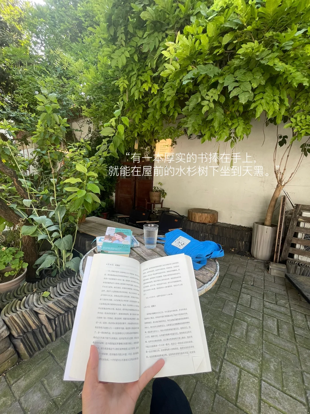 我的解压日常：骑行 买花 读书 不社交