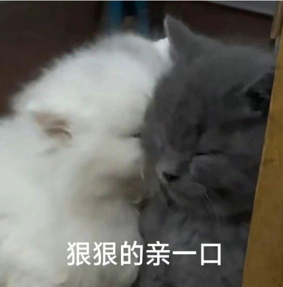 日常的路人a  每次看到我那香香软软、150出头的姐们，就想把她们抱起来亲亲，我