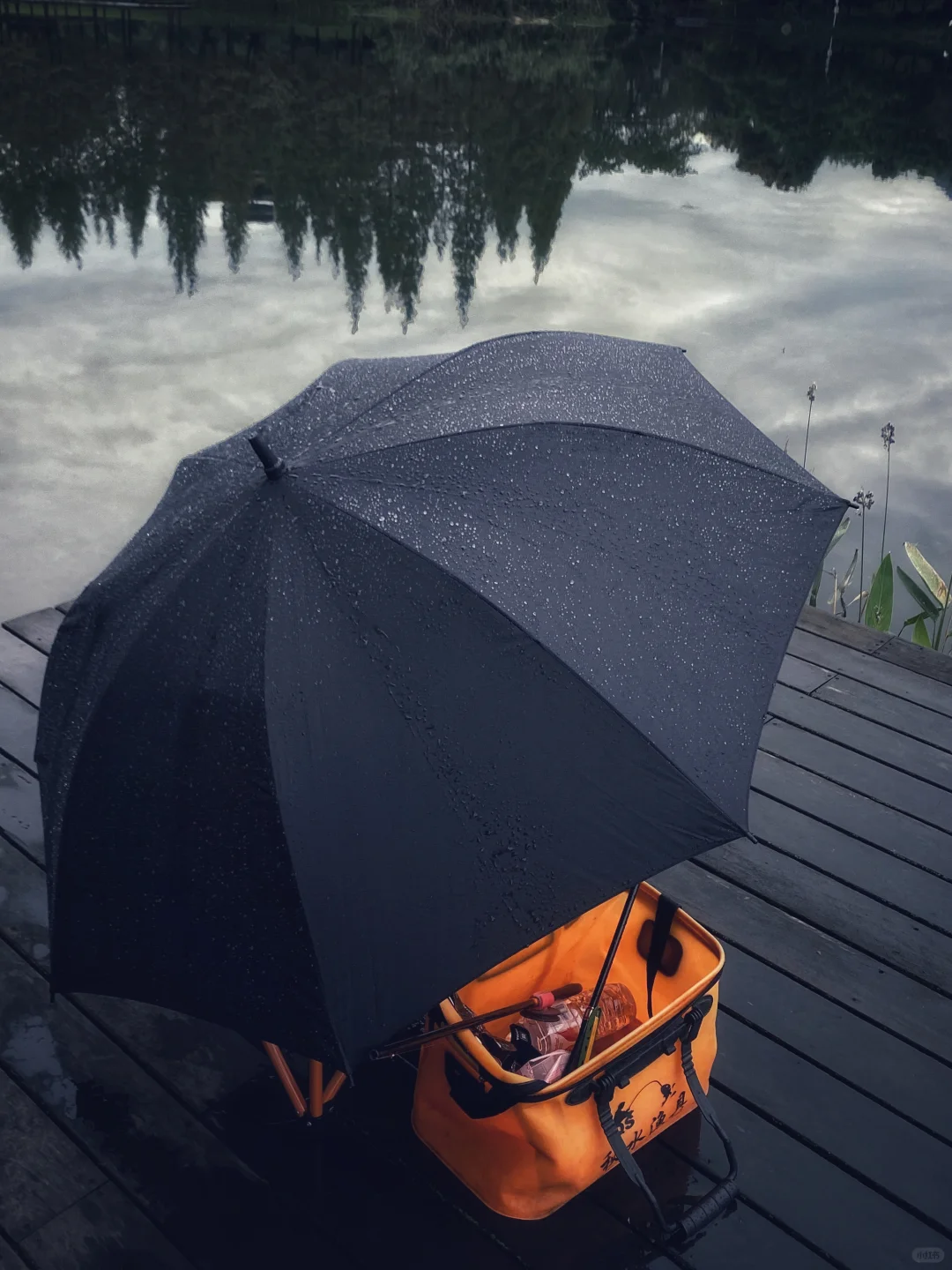 明知山有雨，偏向雨山行